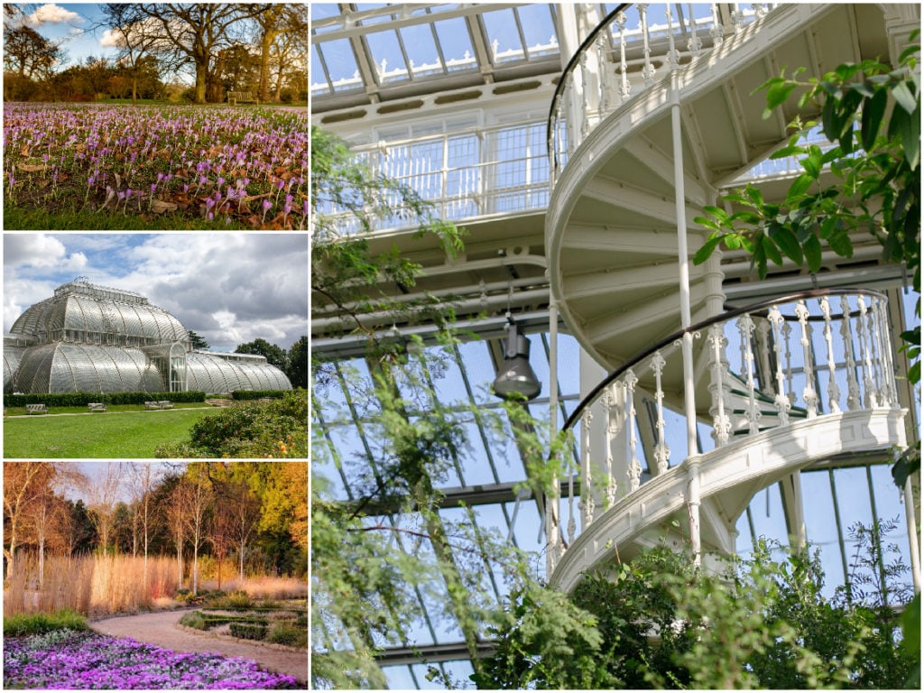 Royal Botanic Gardens, Kew