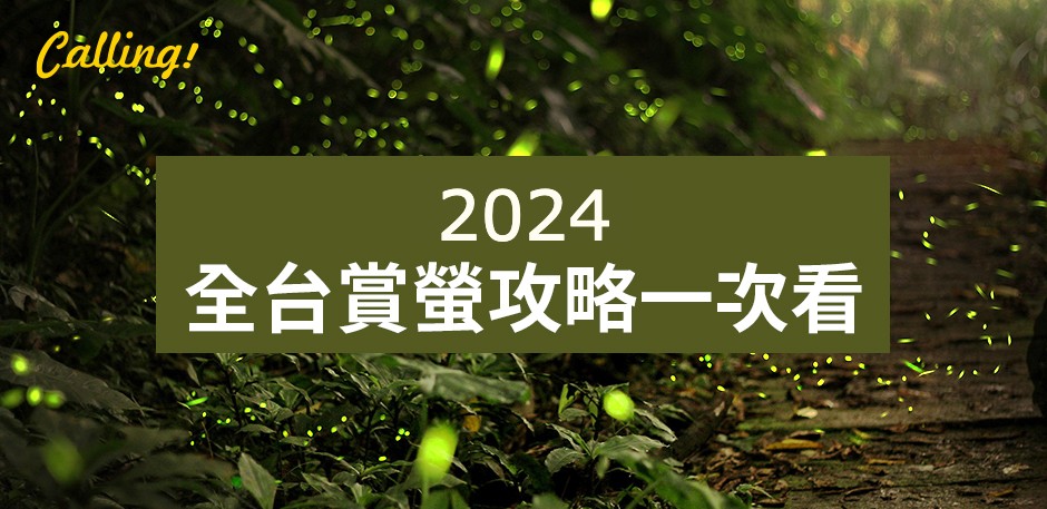 全台賞螢攻略2024